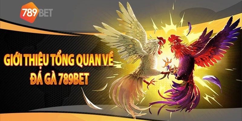 Thông tin tổng quan về sảnh đá gà 789Bet