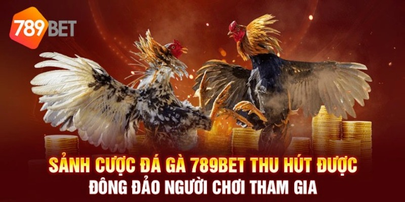 Các hình thức kèo cược đá gà tại nhà cái 789Bet