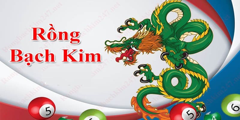 Rồng Bạch Kim 247 cung cấp rất nhiều thông tin bổ ích cho lô thủ