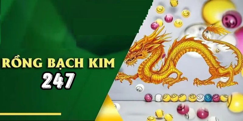 Rồng Bạch Kim 247 là trợ thủ hỗ trợ hội viên rất tốt