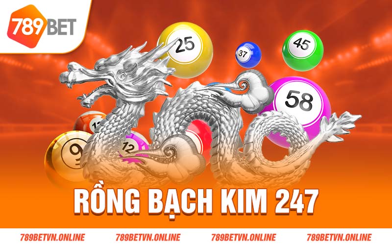 Rồng Bạch Kim 247