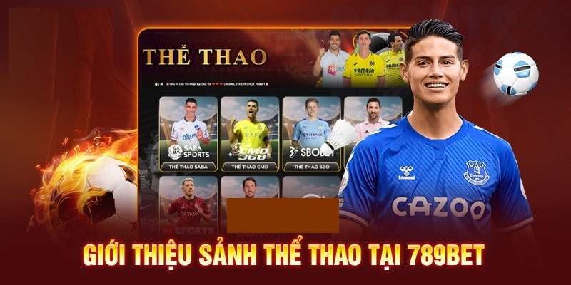 Giới thiệu khái quát về sảnh thể thao 789Bet