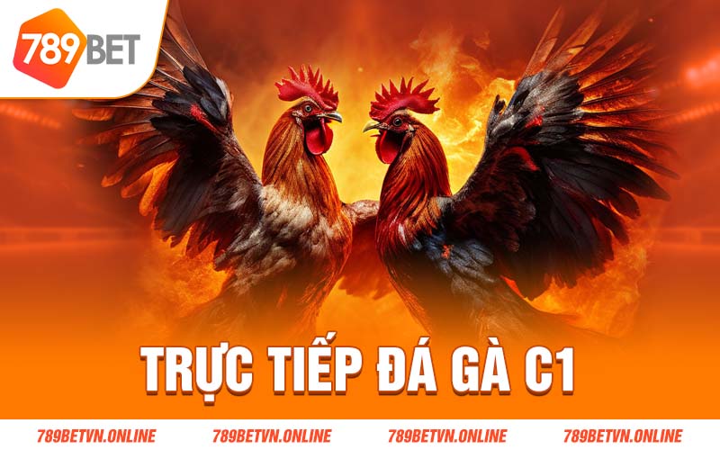 Trực tiếp đá gà C1