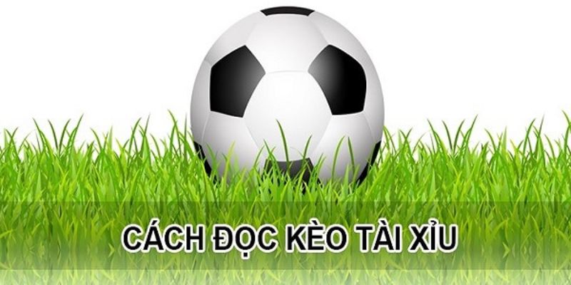 Đọc kèo tài xỉu bóng đá 0.5/1 trái